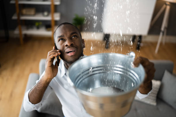 Best Water damage cleanup near me  in Maize, KS
