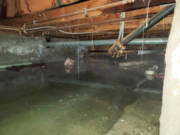 24/7 water damage repair in Maize, KS