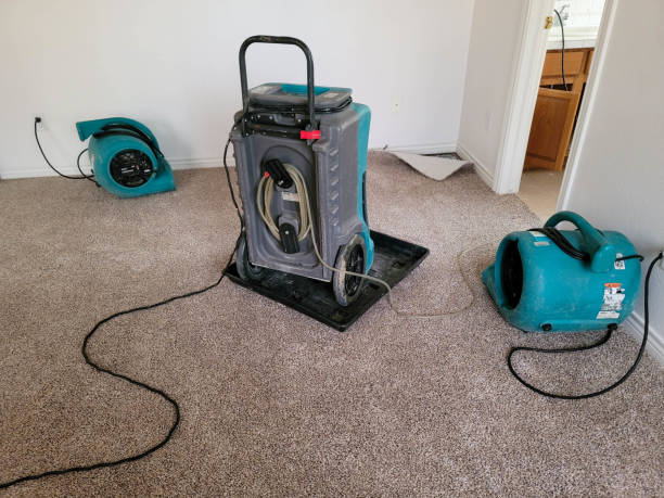 Best Mold removal after water damage  in Maize, KS
