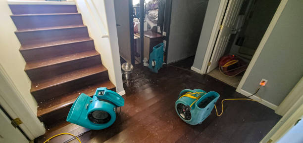 Best Sewage cleanup and water damage restoration  in Maize, KS