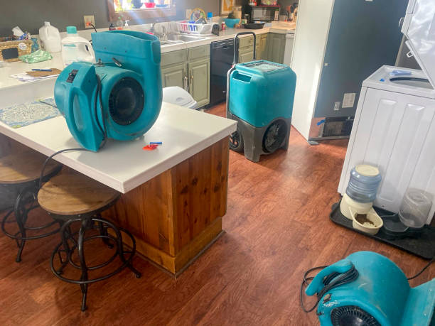 Best Water damage restoration near me  in Maize, KS