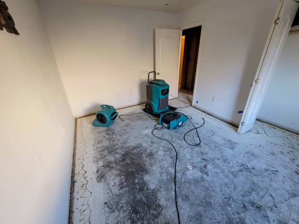 Best Flood restoration services  in Maize, KS