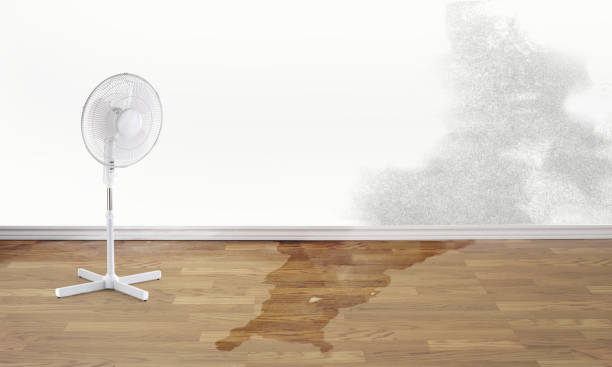  Maize, KS Water damage restoration Pros