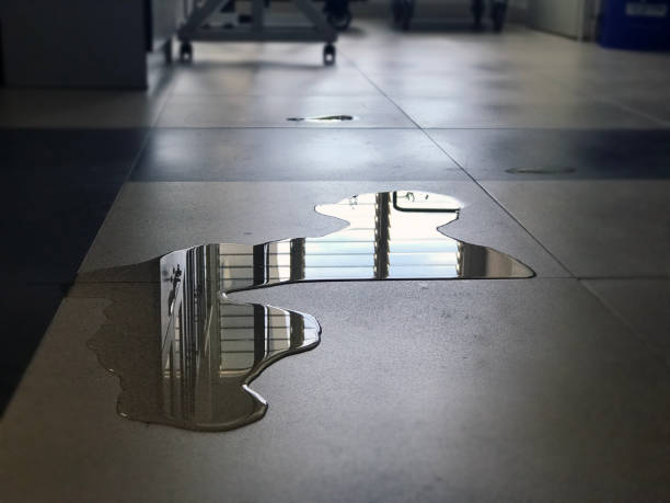 Best Commercial water damage restoration  in Maize, KS