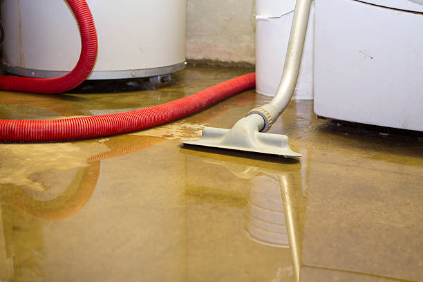 Best Professional water damage repair  in Maize, KS
