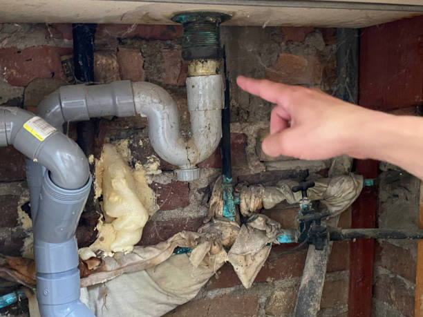 Best Basement water damage restoration  in Maize, KS